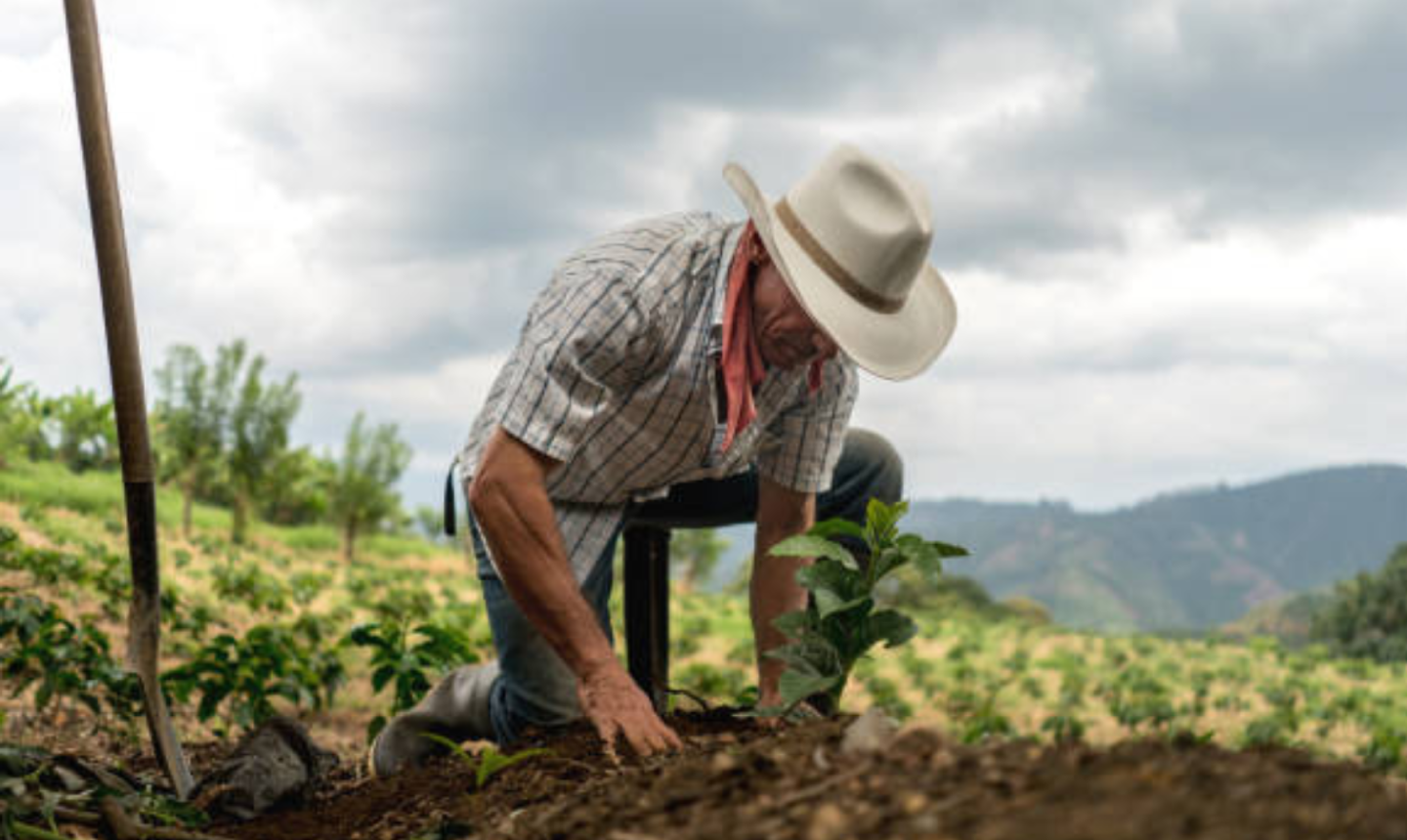 Campesinos podrán acceder a insumos agrícolas con descuentos gracias a nuevos apoyos del Gobierno