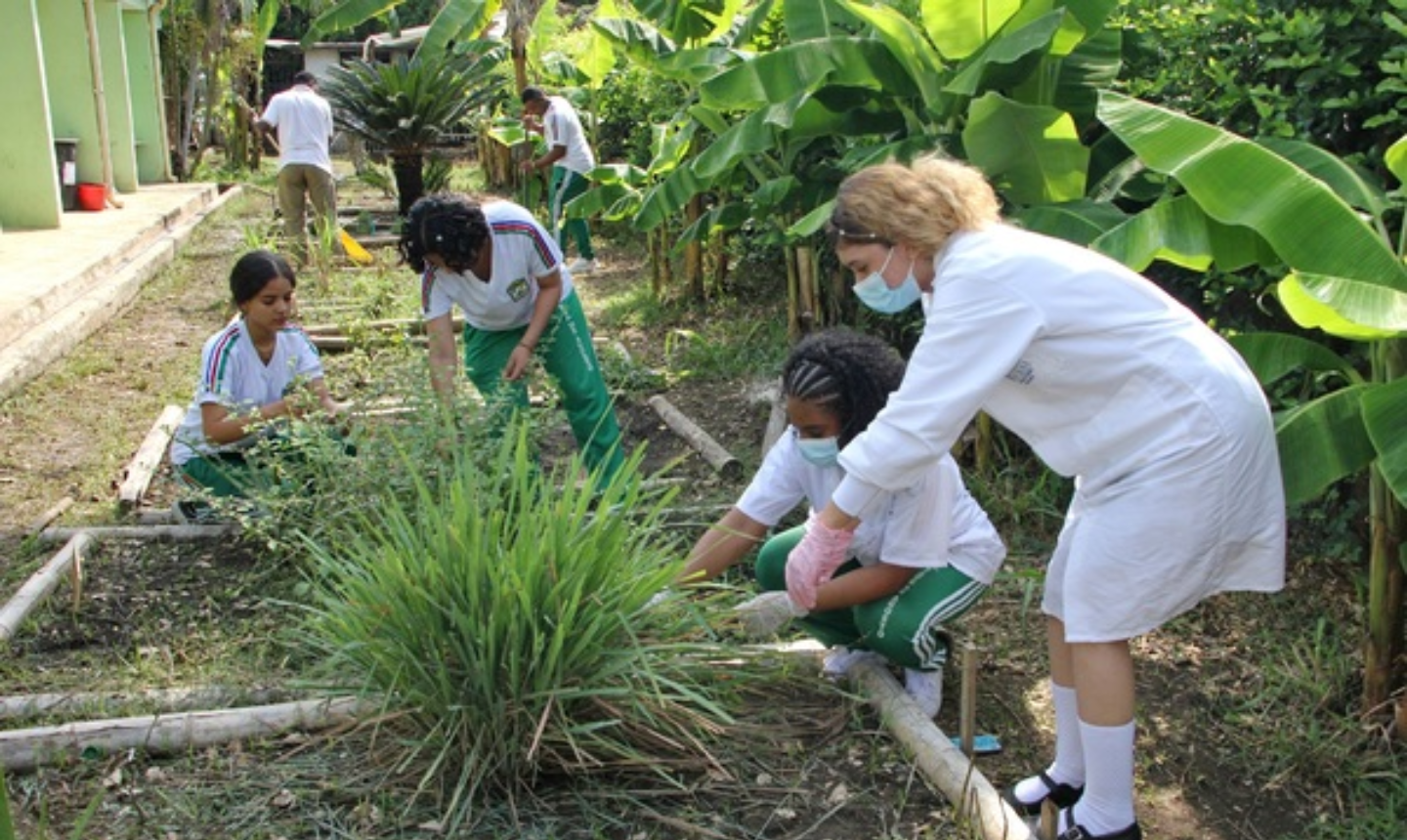 La huerta educativa en Cali: colegio Siete de Agosto como modelo de cambio