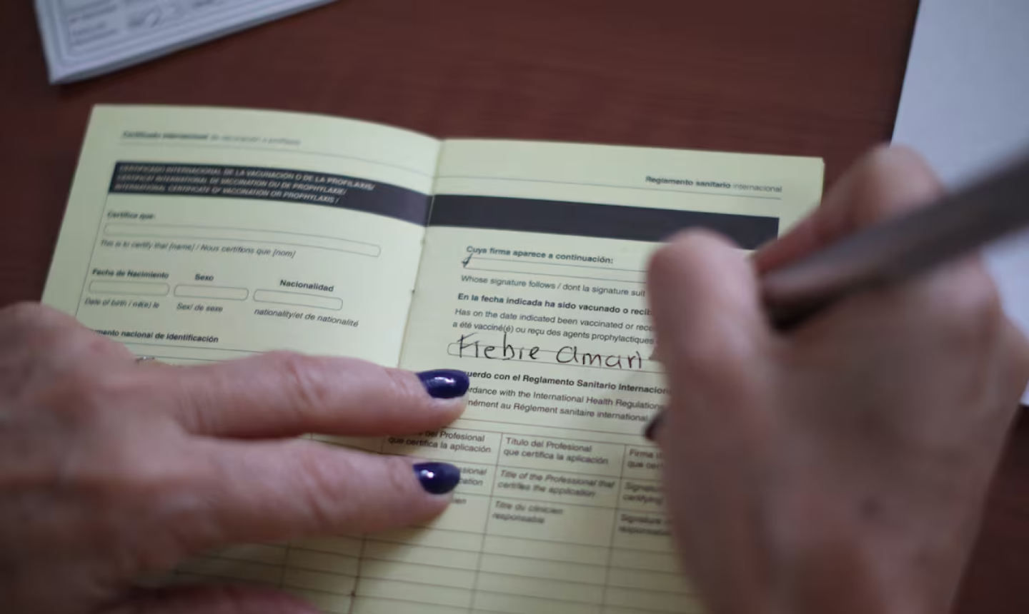 Emergencia por fiebre amarilla: el Gobierno vacunará a 14 millones de colombianos