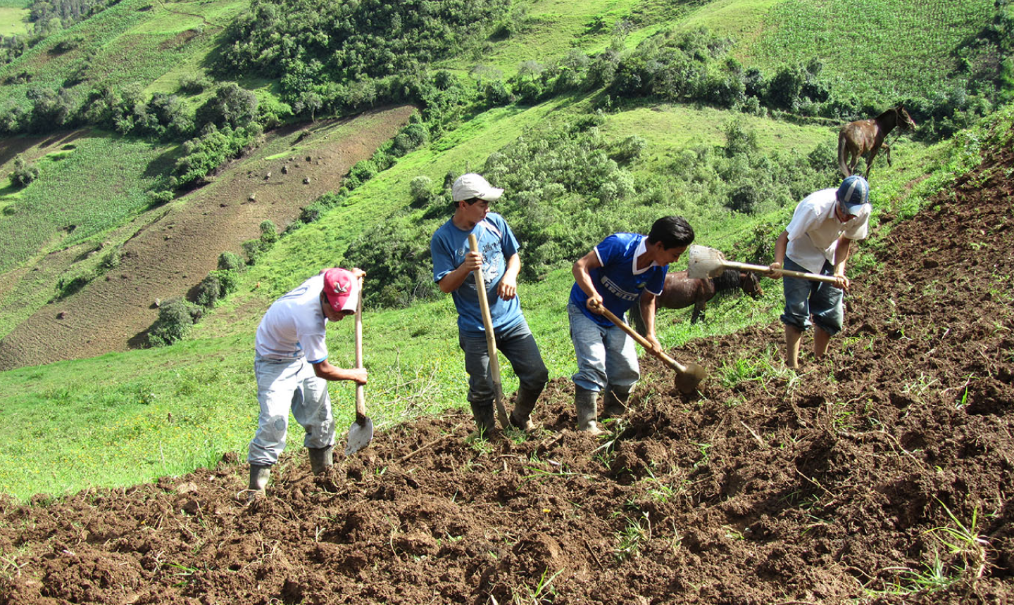 Finagro fortalece el sector agro con 2,2 billones en créditos asociativos