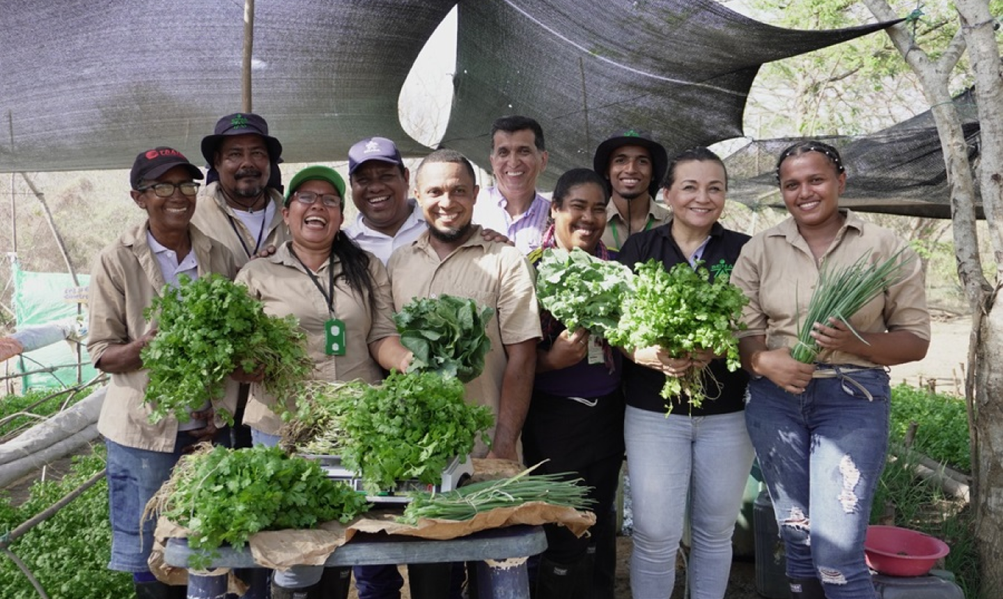 Jóvenes del SENA transforman tierras áridas en cultivos orgánicos y esperanza para el campo en Bolívar