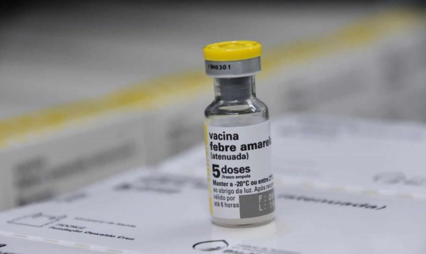 Cuba dona 2.000 vacunas contra la fiebre amarilla a Colombia: canciller Sarabia confirmó el gesto solidario