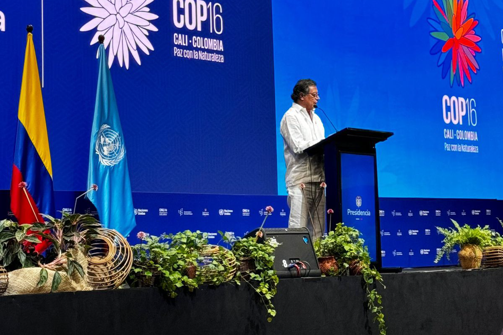 Colombia toma la palabra en la COP16 para enfrentar el cambio climático