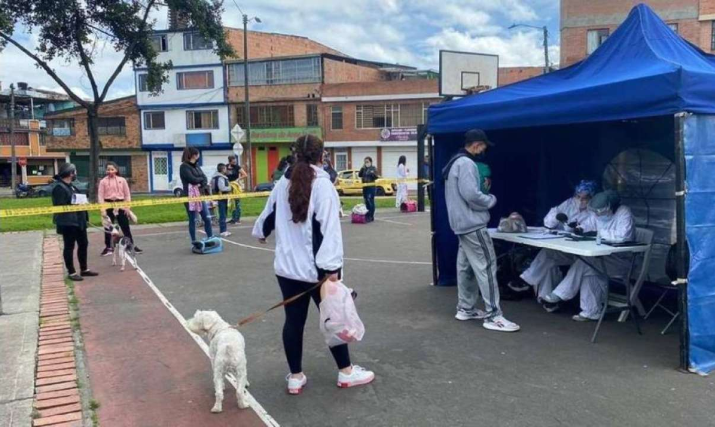 Bogotá anuncia más de 6.000 esterilizaciones gratuitas para perros y gatos: así puede acceder al servicio