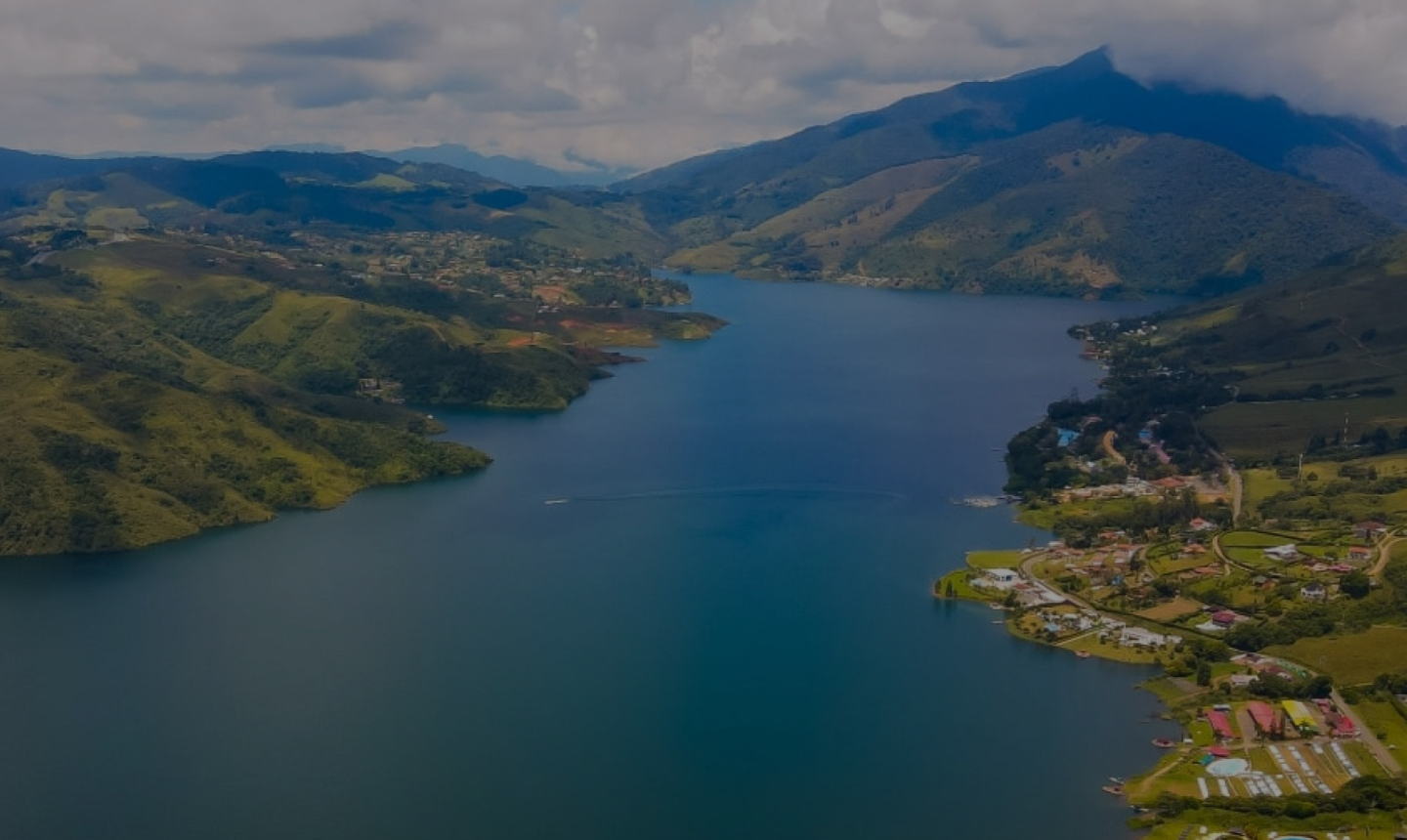 Científicos e ilustradores se internan en el Darién para documentar su biodiversidad única