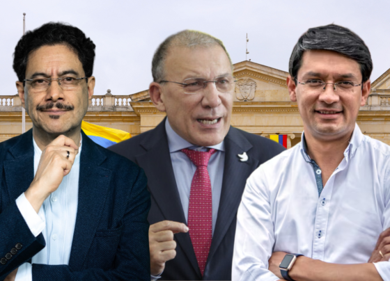 Consulta presidencial