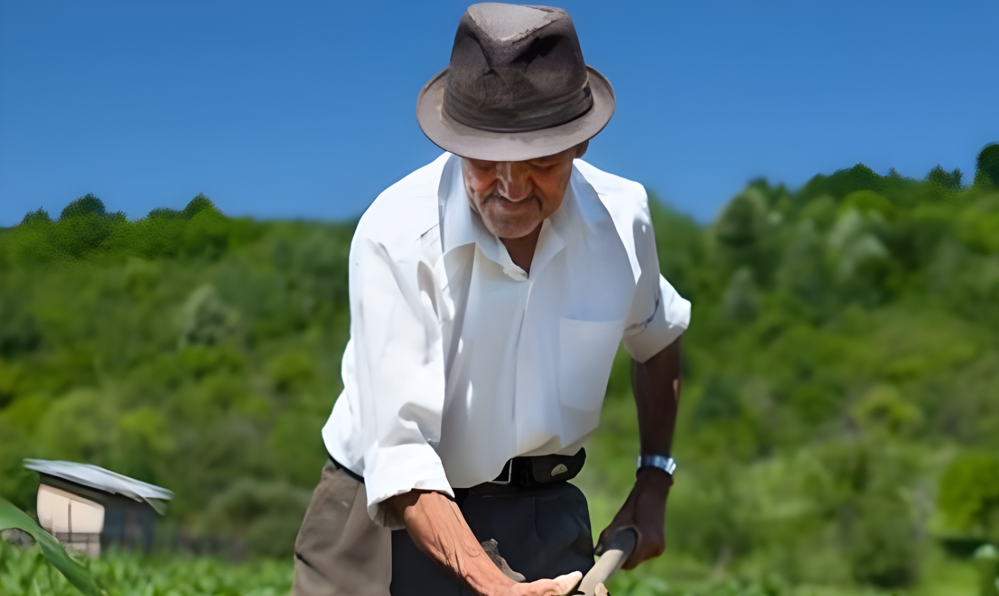 Reforma agraria del Gobierno Petro supera 1,8 millones de hectáreas entregadas y formalizadas a víctimas del conflicto