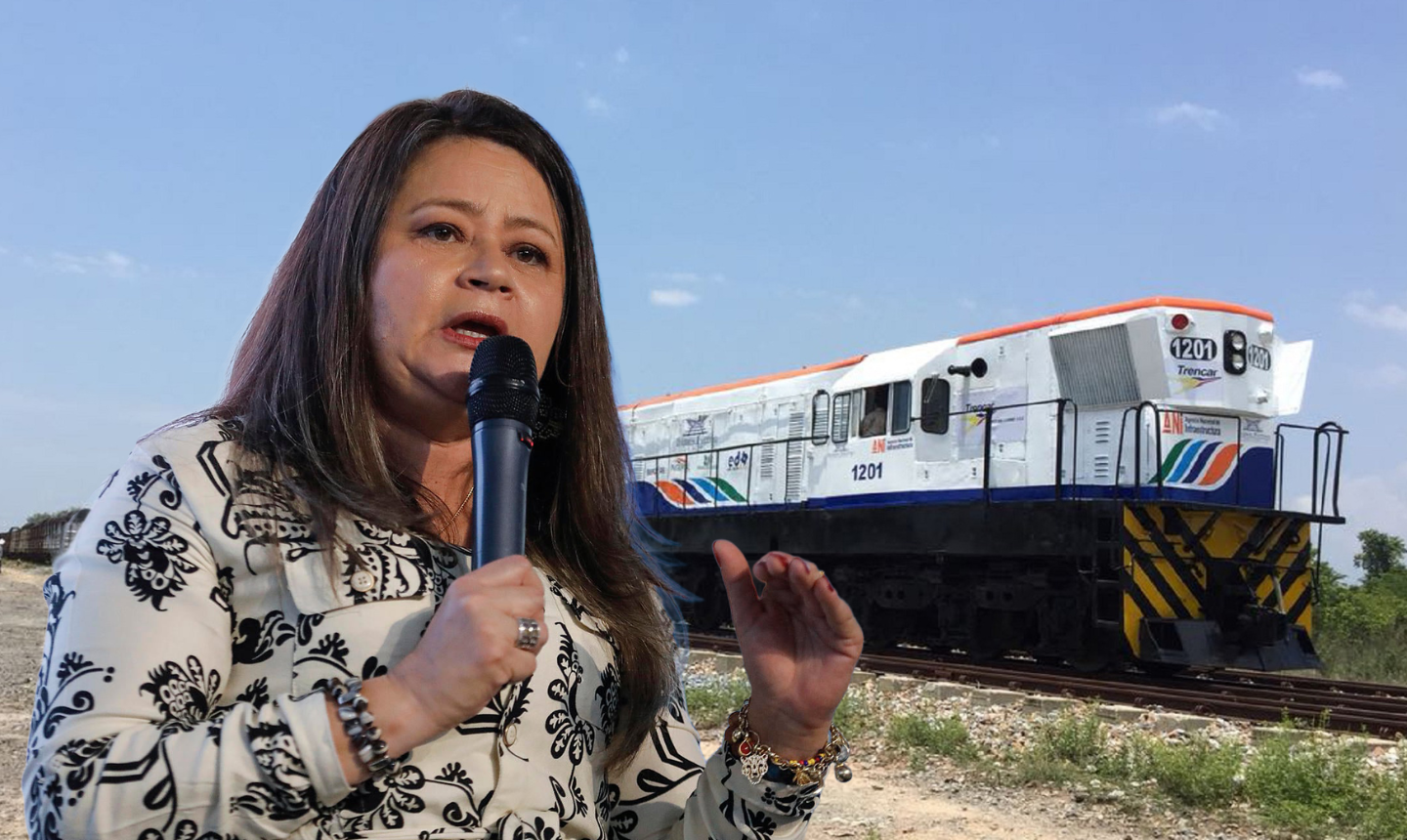 MinTransporte anuncia primer paso para reactivar el tren Villavicencio – Puerto Gaitán