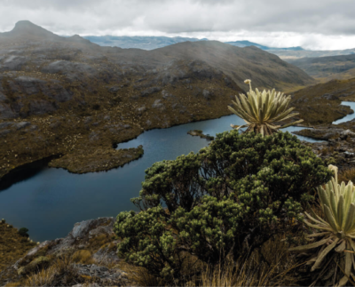 Páramo de Santurbán
