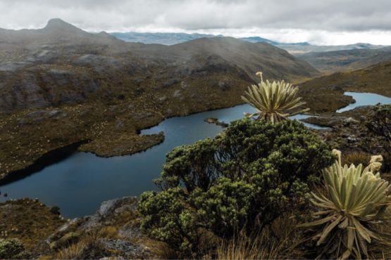 Páramo de Santurbán