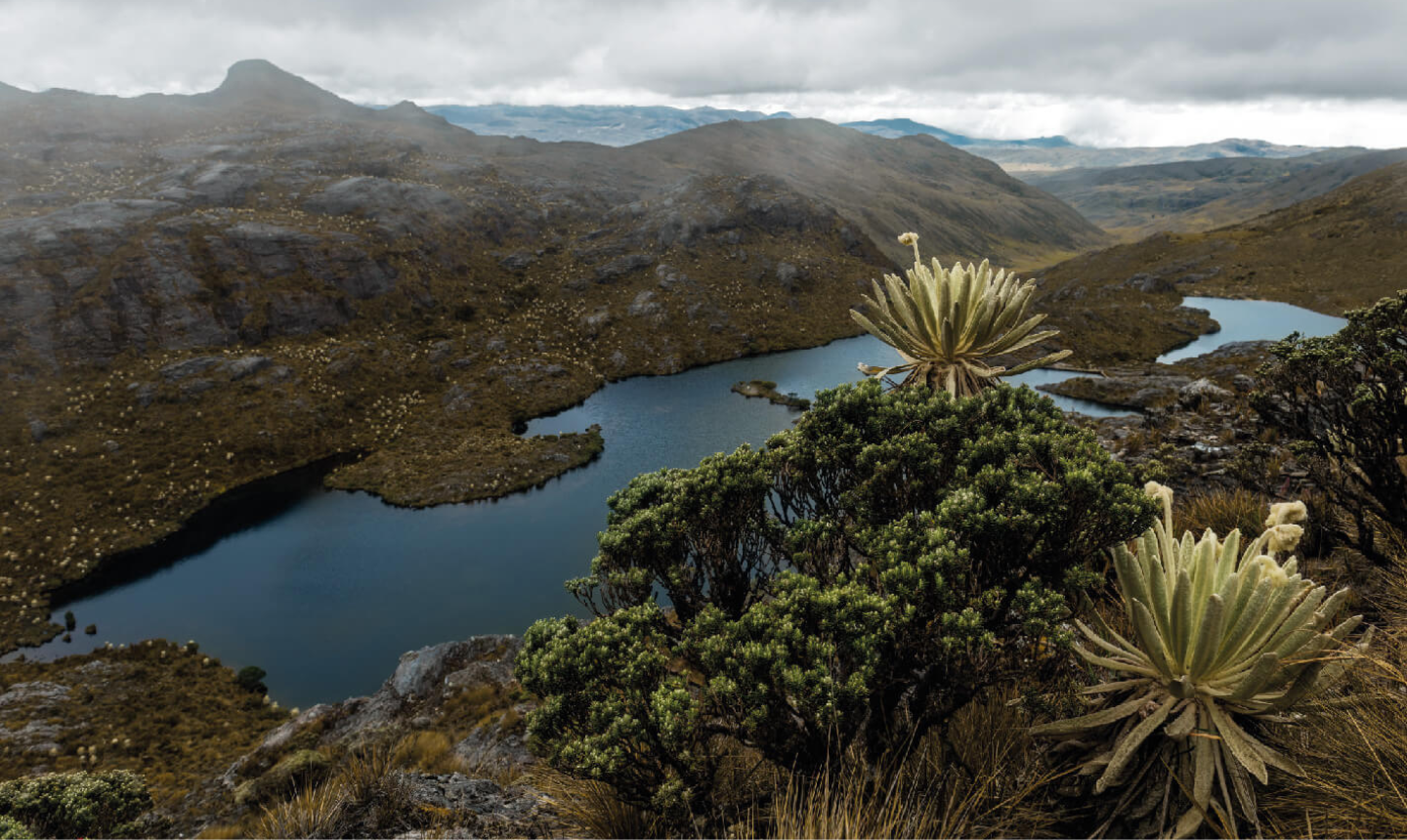 MinAmbiente presentó su propuesta para delimitar el Páramo de Santurbán y proteger sus fuentes hídricas